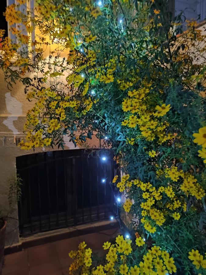 萨瓦德尔Casa Mo公寓 外观 照片